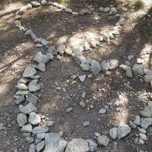 Meet your Posher, Jodi